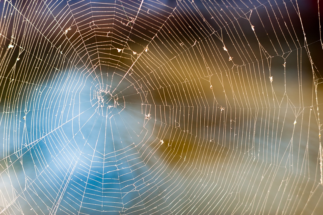 web-886843_1280